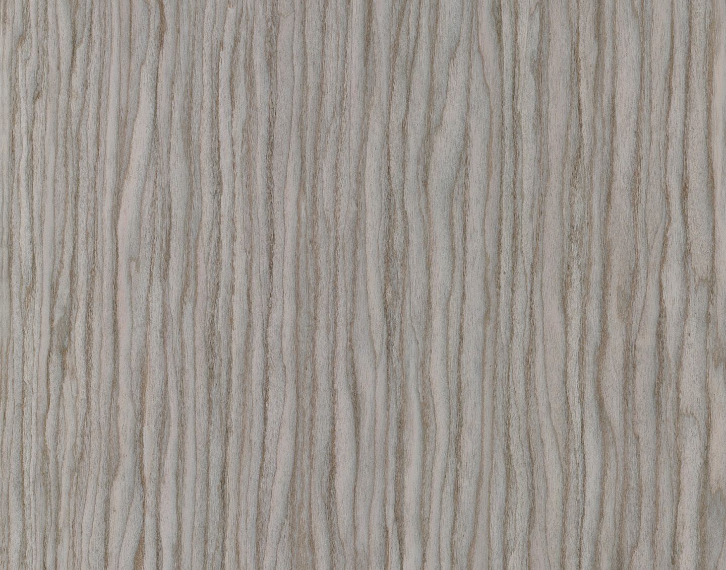 18.97-Futae-White_main.jpg